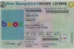 New Hampshire fake ids